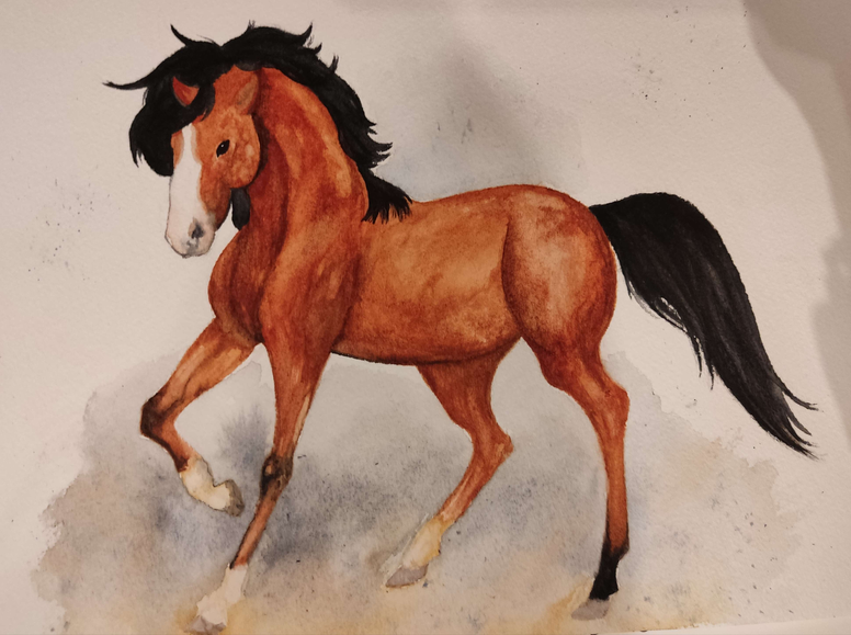 Gniady koń uratowany przez fundację patrzy w stronę słońca